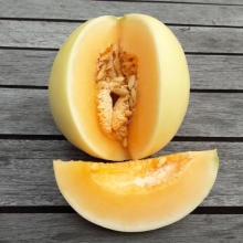 Дыня Подмосковное угощение F1