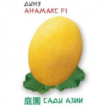 Дыня Анамакс F1