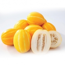 Дыня 007 Хоней F1