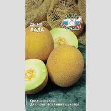 Дыня Лада
