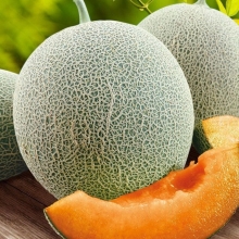 Дыня Мемо F1