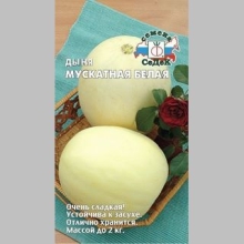 Дыня Мускатная белая