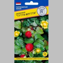 Дюшенея Тутти Фрутти индийская