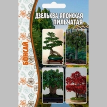 Дзельква Японская Пильчатая (большой пакет)