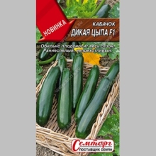 Кабачок Дикая цыпа F1