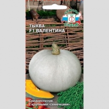 Тыква Валентина F1