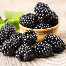 Ежевика Чёрная Магия (большой пакет)