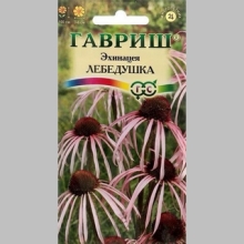 Эхинацея Лебедушка