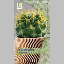 Эхинокактус Грузони