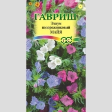 Эхиум Майя смесь