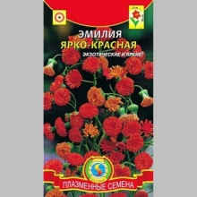 Эмилия Ярко-красная