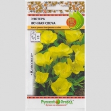 Энотера Ночная свеча
