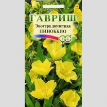 Энотера Пиноккио