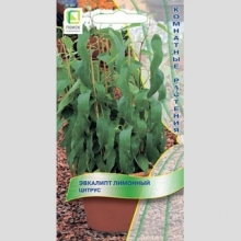 Эвкалипт Цитрус (лимонный)