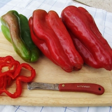 Перец Фатима