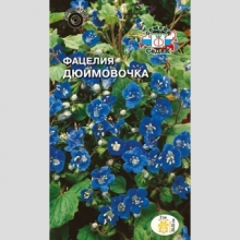 Фацелия Дюймовочка