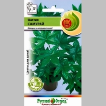 Фатсия Самурай (Зеленый дом)