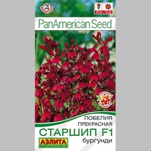 Лобелия Старшип F1 Бургунди