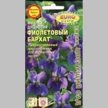 Фиалка Фиолетовый бархат (душистая)