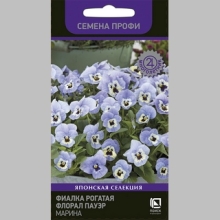 Фиалка Флорал Пауэр Марина (рогатая)