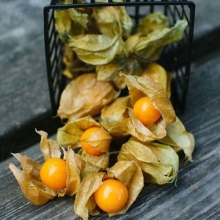 Физалис Ананасовый