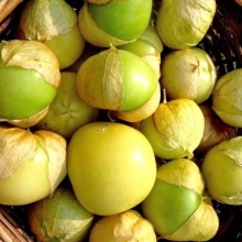 Физалис Королек