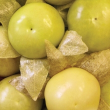 Физалис Медовая Сливка