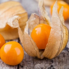 Физалис Оранжевая россыпь