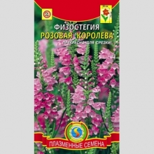 Физостегия Розовая Королева