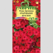 Флокс Очарование красное