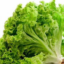 Салат Гасконь листовой