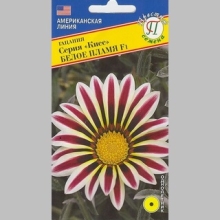 Газания (гацания) Кисс F1 Белое пламя