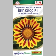 Газания (гацания) Биг кисс F1 огненно-желтая