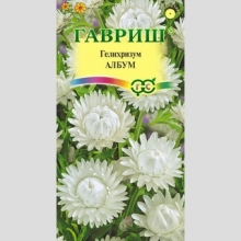 Гелихризум Албум
