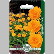 Геум Санрайз махровый