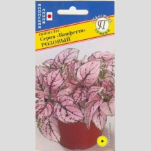 Гипоестес Конфетти Розовый