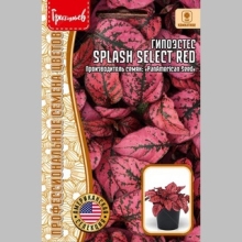 Гипоэстес Splash Select Red (большой пакет)