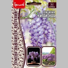 Глициния Китайская (большой пакет)