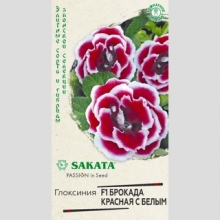 Глоксиния Брокада Красная с белым F1