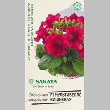 Глоксиния Мультибеллс Вишневая F1