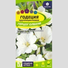 Годеция Герцог Олбани