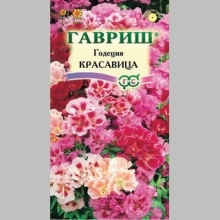 Годеция Красавица махровая смесь