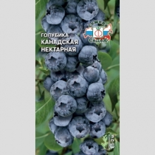 Голубика Нектарная канадская