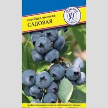 Голубика Садовая