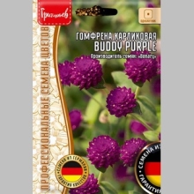Гомфрена Buddy Purple карликовая (большой пакет)