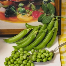 Горох Норд-Вест (Северные овощи)