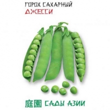 Горох Джеси