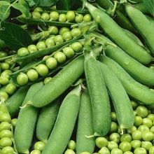 Горох Линкольн овощной