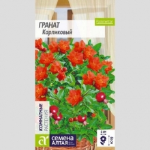 Гранат Карликовый