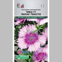 Гвоздика Чиба F1 Лилак Пикоти (межвидовая)